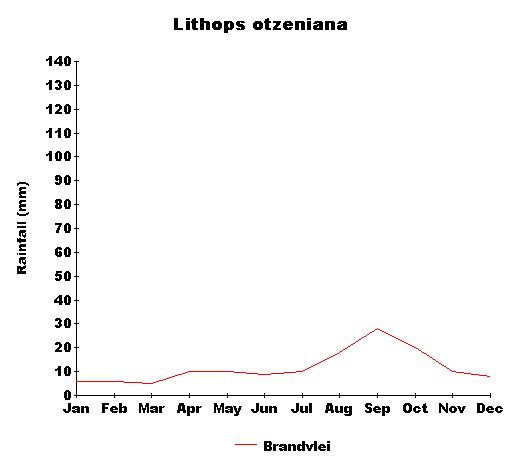 rain_otzeniana.gif