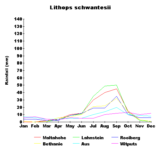 rain_schwantesii.gif