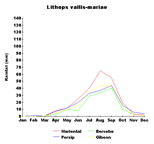 rain_vallis-mariae.gif