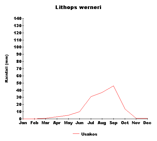 rain_werneri.gif