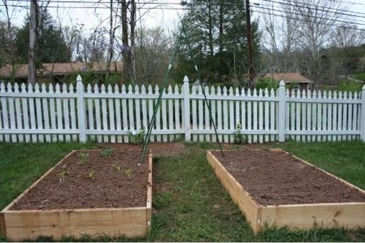 raised-bed-vegetable-garden-design-800x800.jpg