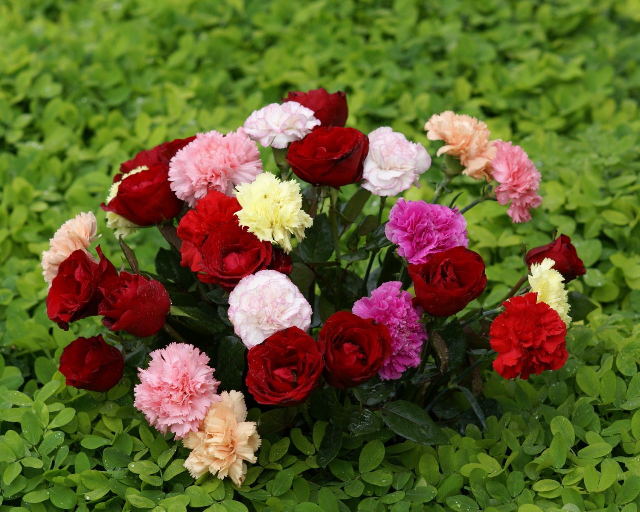 ramo-de-flores-870.jpg
