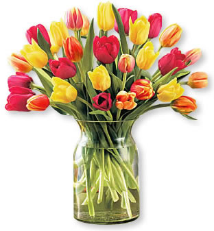 RAMO+DE+TULIPANES+precio+desde+35+euros.jpg