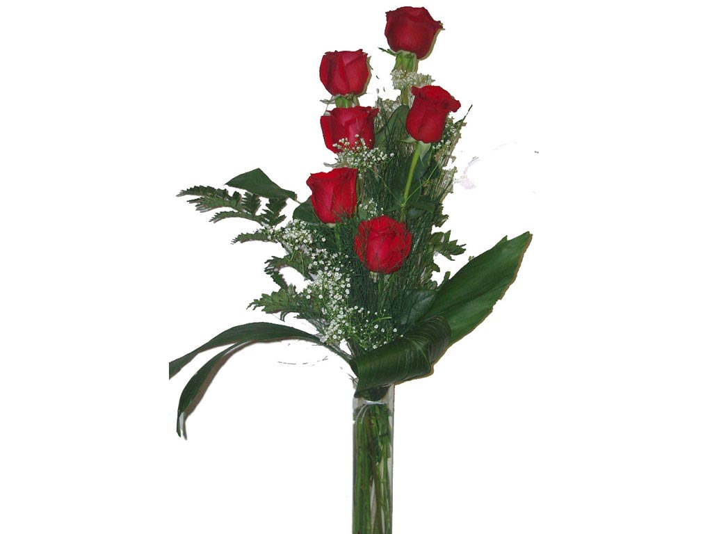 ramo6rosas.jpg