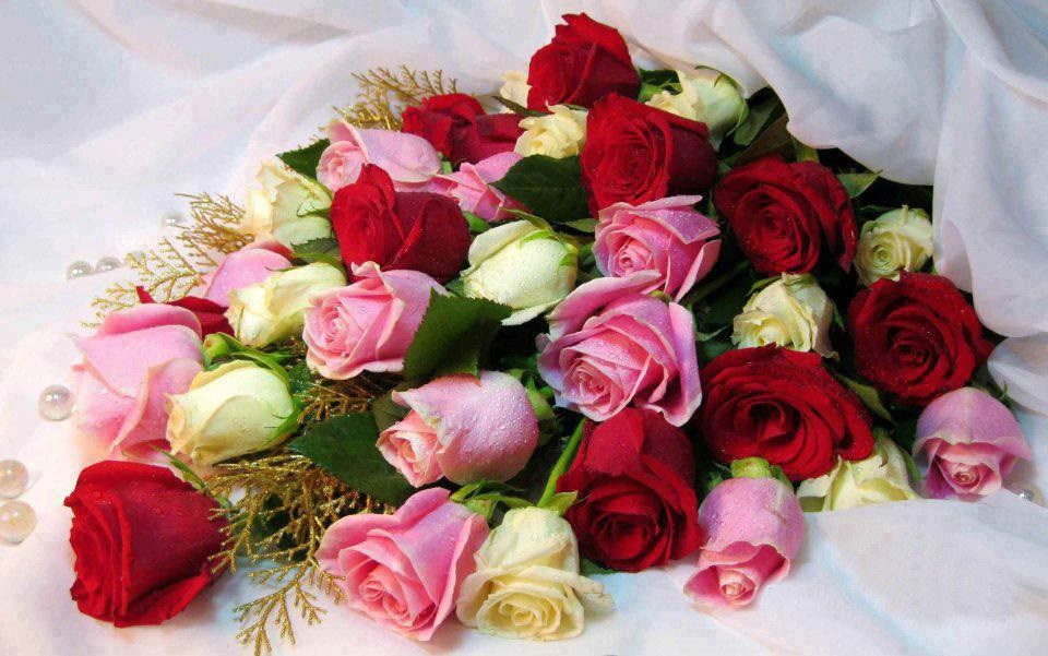 ramos-de-25-rosas-surtidas-rosas-de-ecuador_1117712.jpg