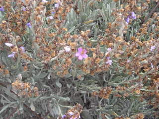 RASTRERA11081.jpg