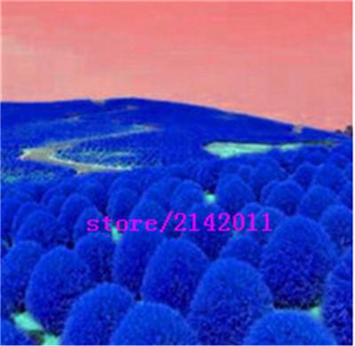 rBVaSlpXEBCAcU4XAAC5lFd2fpA021.jpg