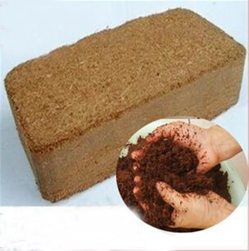 rc;nico-ass&eacute;ptica-de-coco-coco-em-p&oacute;-de-coco-turfa-coco-turfa-tijolo-nutriente-650.jpg