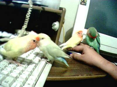 receso_entre_clases.JPG