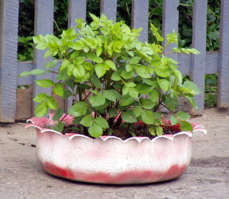 reciclaje_neumaticos_ruedas_reutilizar_Blog_Reparalia_macetas.jpe