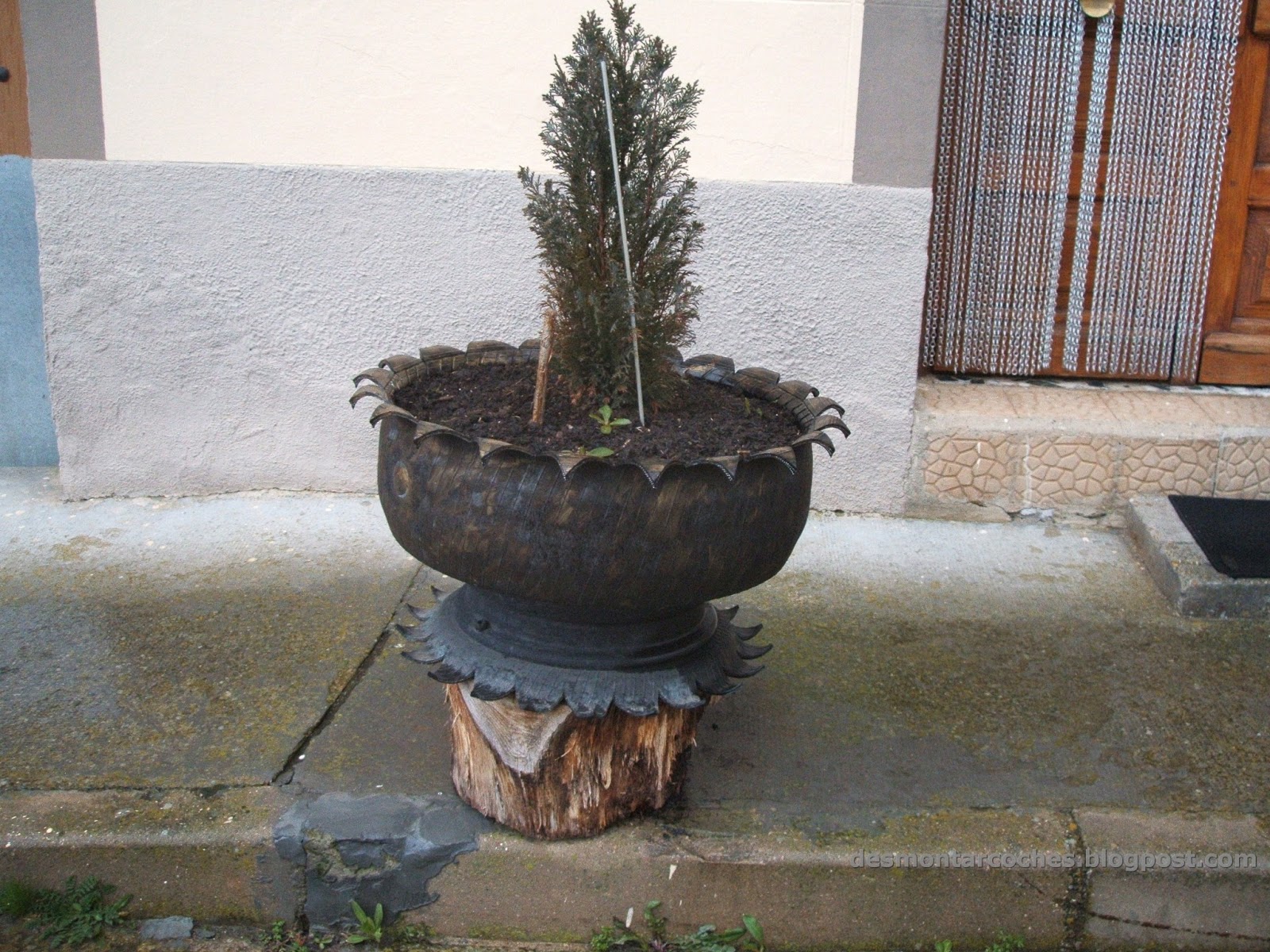 reciclar+neumaticos+tiesto+rueda+maceta++Image00017.jpg