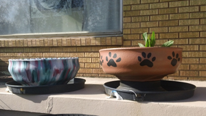 recycled%20tire%20planters%20lr.jpg
