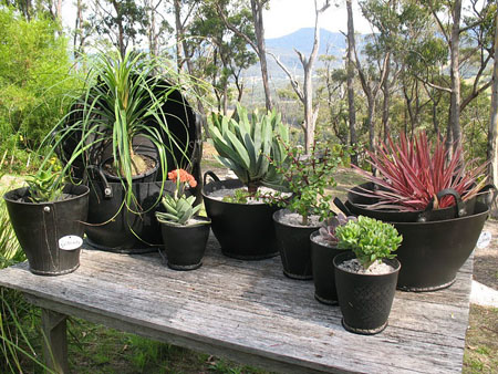 recycled-tire-pot1.jpg