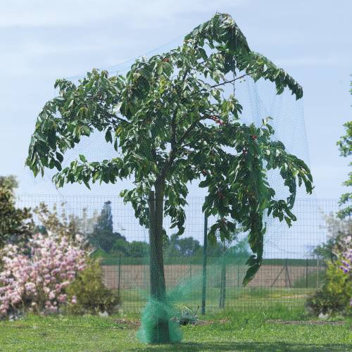 red-anti-aves-para-arboles-frutales-4x6-m_ES_500_0007355.jpg