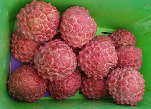 RedCustardApples3.jpg