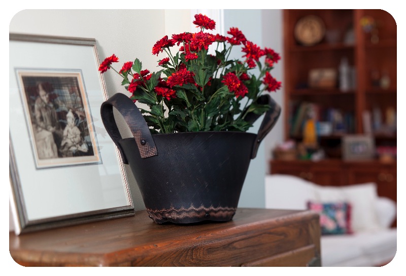 redflowers98copy.jpg