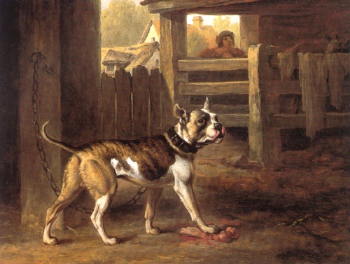 reinagles-bulldog.jpg