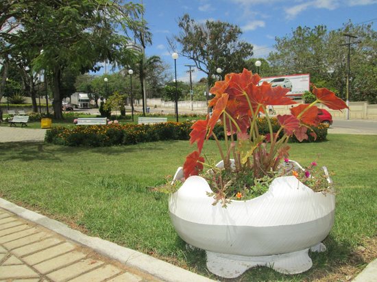 relogio-de-flores.jpg