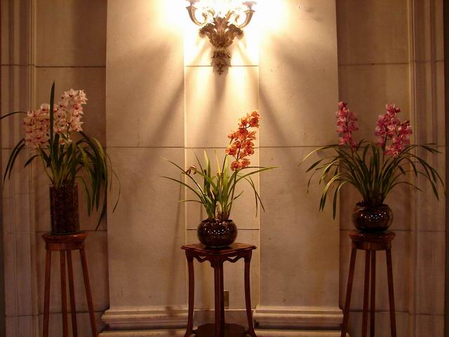 Resize of Arreglo con cymbidium.JPG