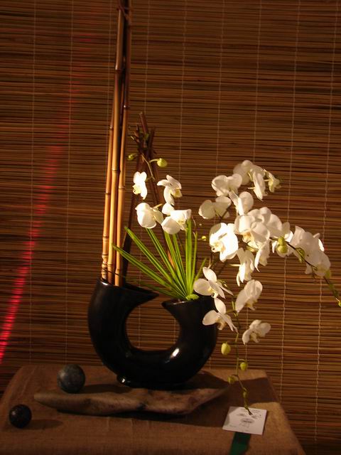 Resize of Ikebana con phal..JPG