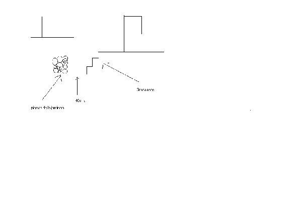 Resized_jardinera.jpg