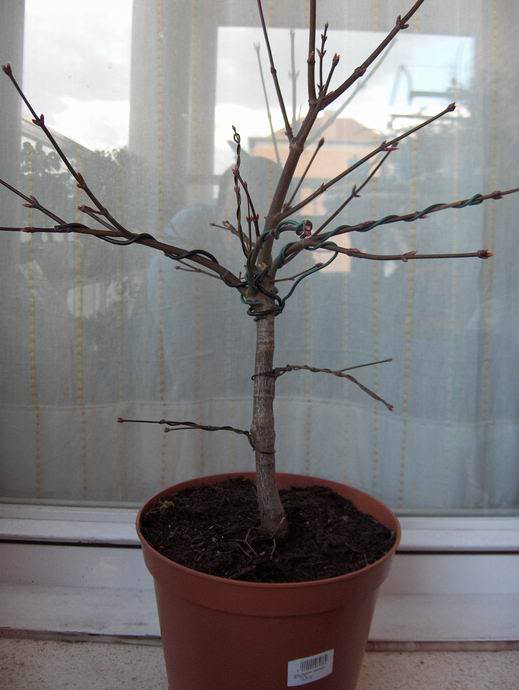 ResizeofHPIM0118.jpg