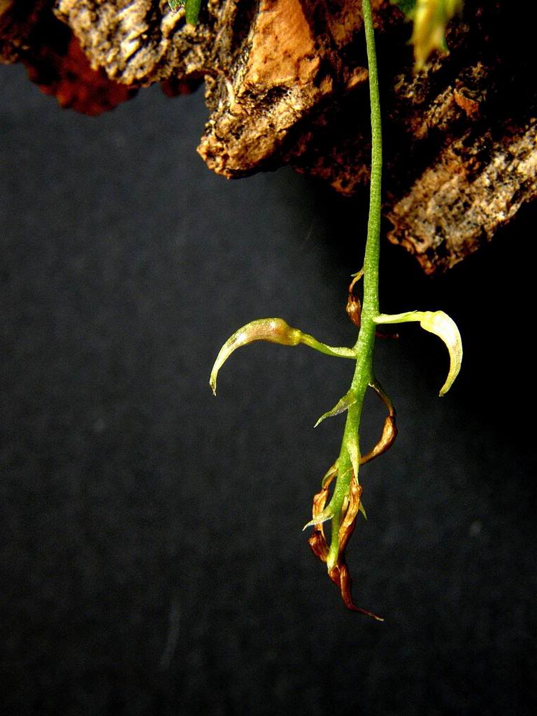 ResizeofP7210015a.jpg