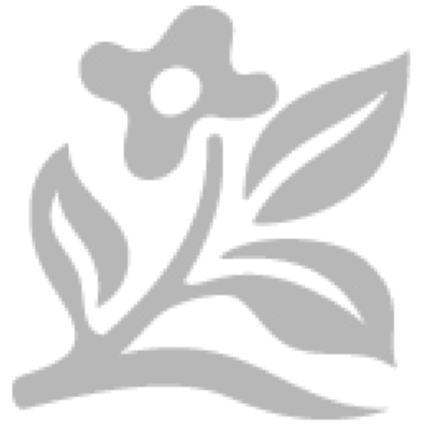 rest_7_1_16947.jpe