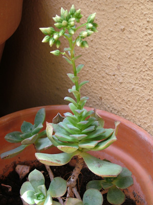 revarias%20072.jpg