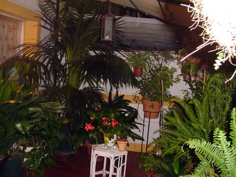 rgh1189985868f.JPG