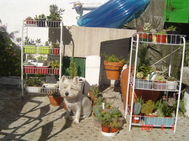 rgh1190151293u.jpg