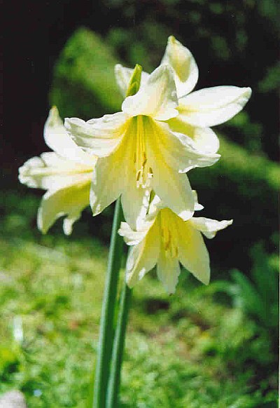 rgh1191637300m.jpg