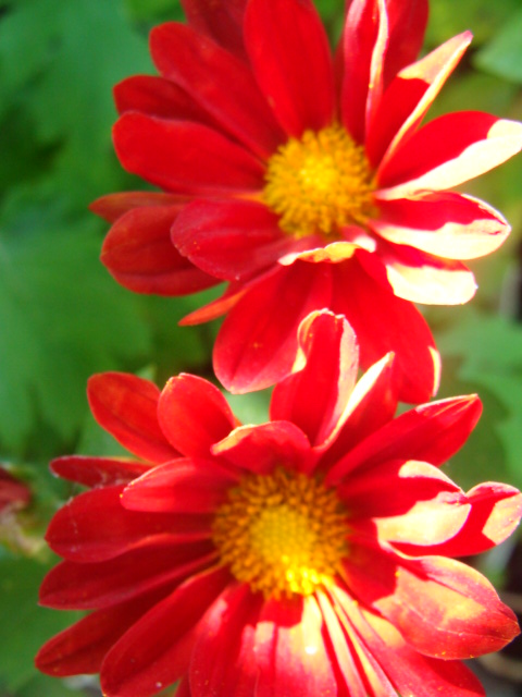 rgh1201067785r.JPG