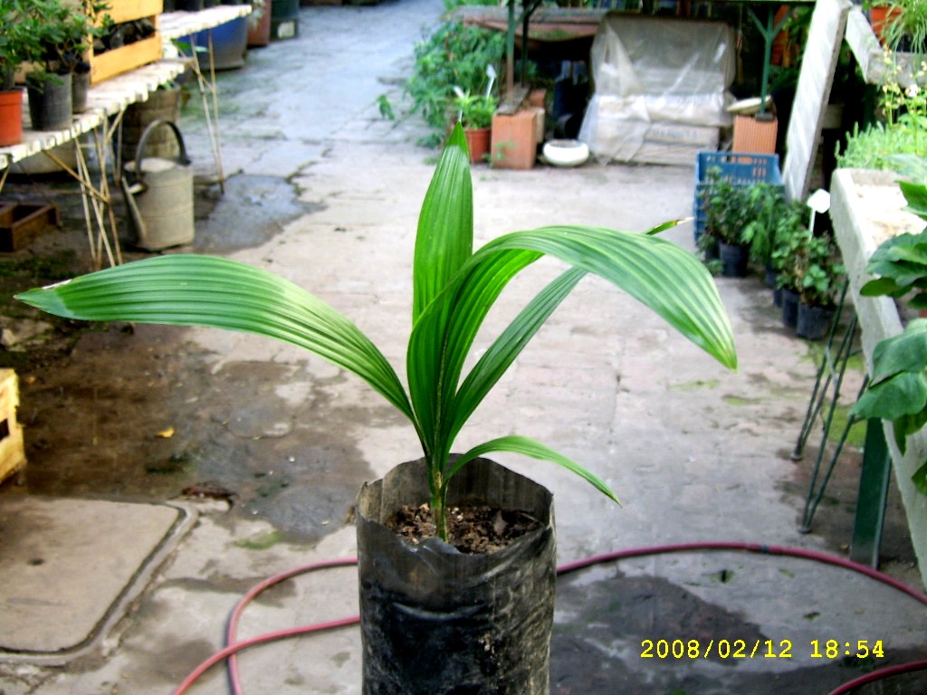 rgh1203991387s.jpg