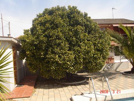rgh1206098294m.jpg