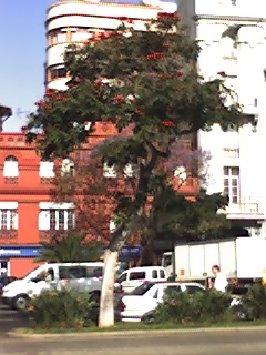rgh1208990403d.jpg