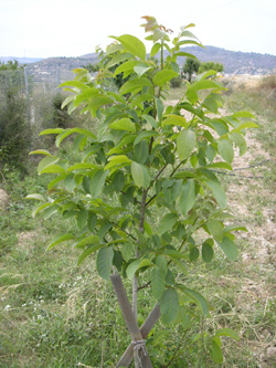 rgh1212133839m.jpg