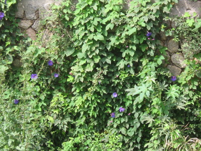 rgh1212333131i.jpg