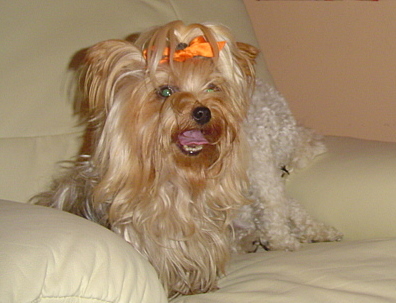 rgh1212334568h.jpg