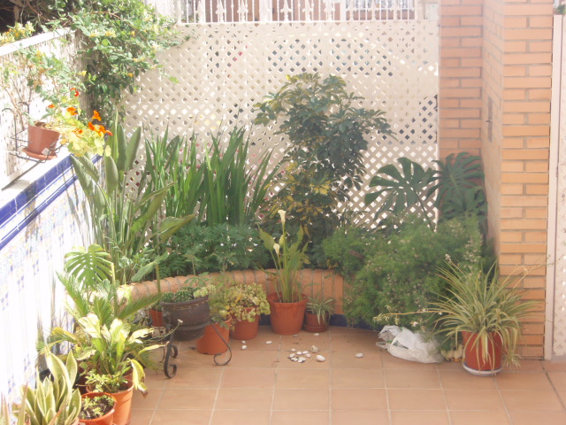 rgh1212338739n.JPG