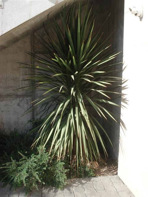 rgh1212356632g.JPG
