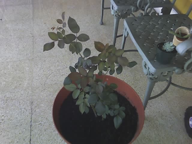 rgh1212430586b.jpg