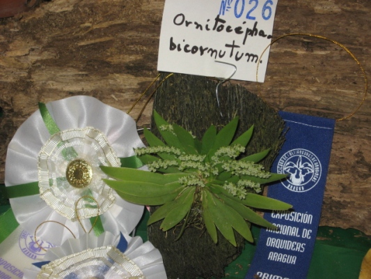 rgh1212549624v.JPG