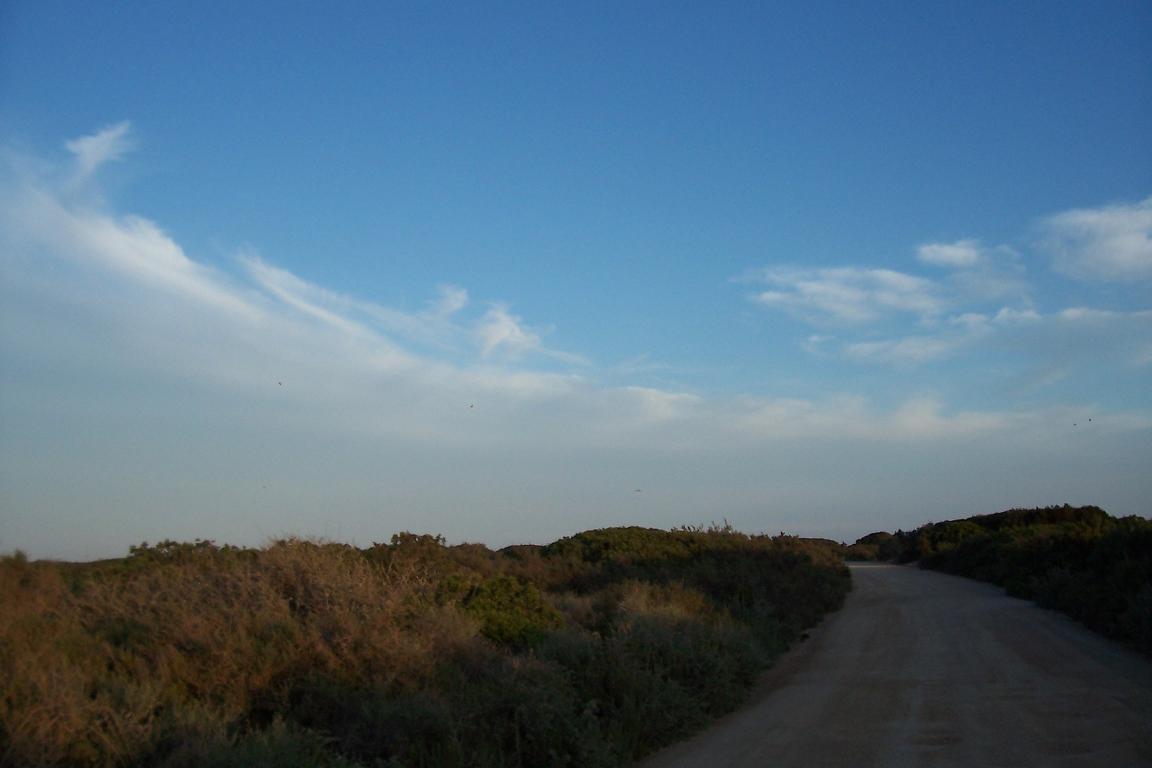 rgh1212596543m.JPG