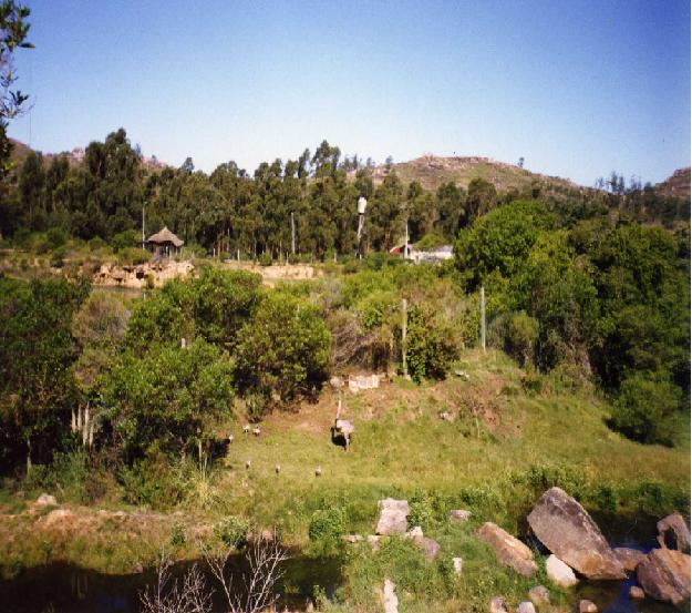 rgh1212600015t.jpg