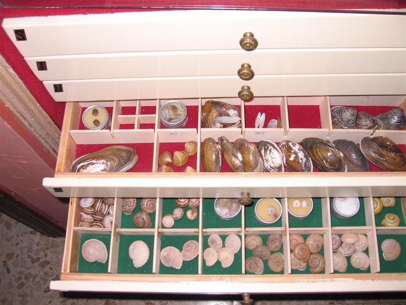 rgh1212675457r.jpg