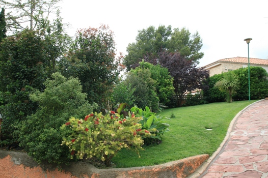 rgh1212676637u.JPG