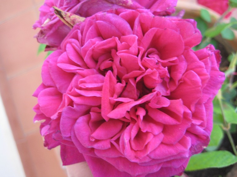rgh1212702967u.jpg