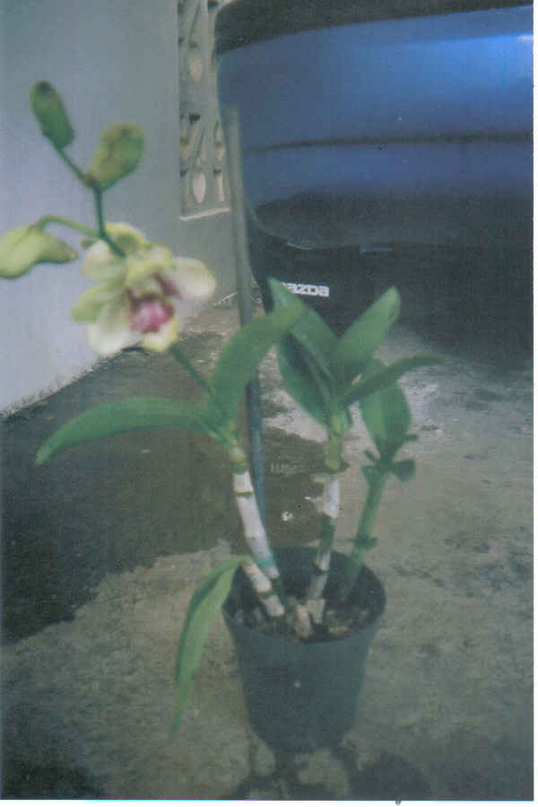 rgh1212765091t.jpg