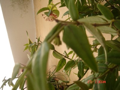 rgh1212778286a.jpg